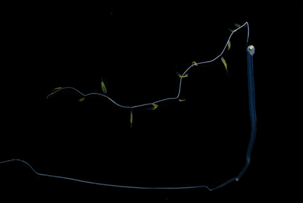 49a2fa182d25387bbdceb5533134199b_2 김성일 093A9873.jpg